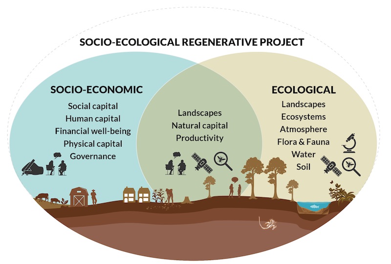 Venn diagram of monitoring methods